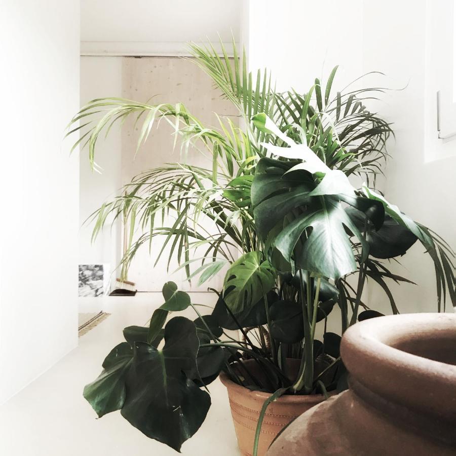 Casasuul Alvor Apartment Ngoại thất bức ảnh